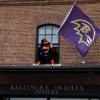Game 15: 12/21 Ravens @ Texans  c/o Bay Bred - last post by bnickle